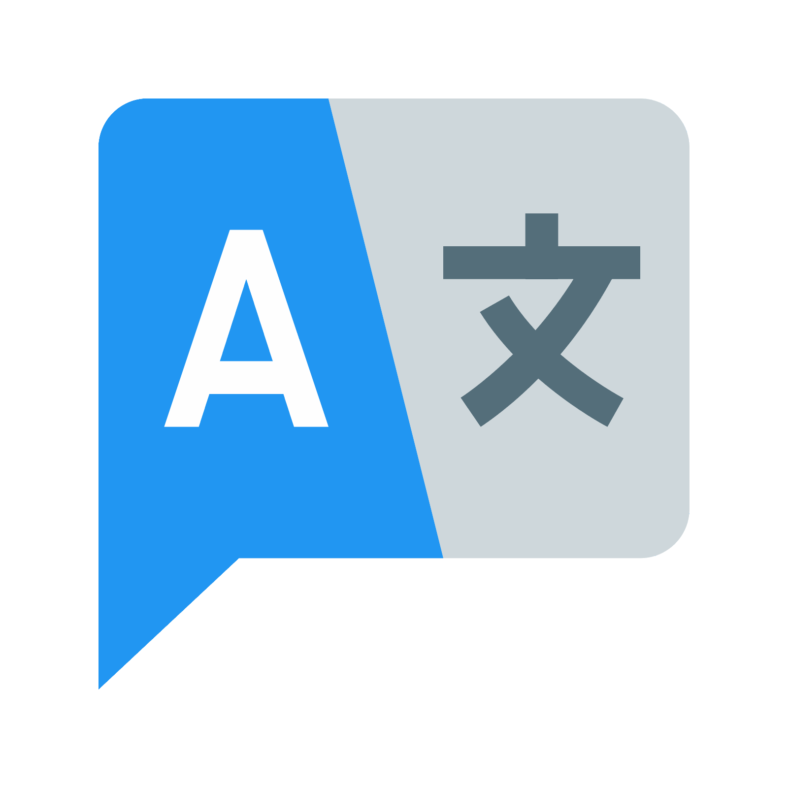 Language Icon